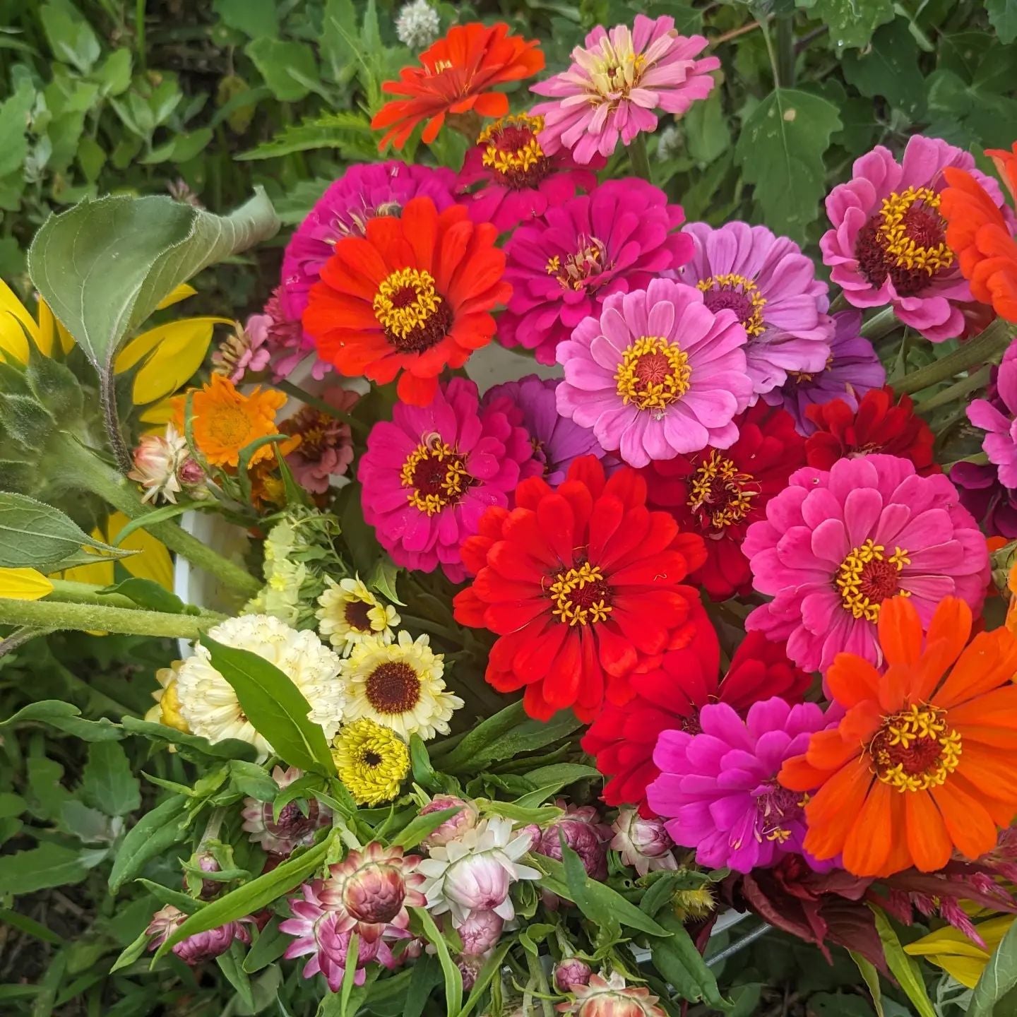 Mixed Flower Bouquet