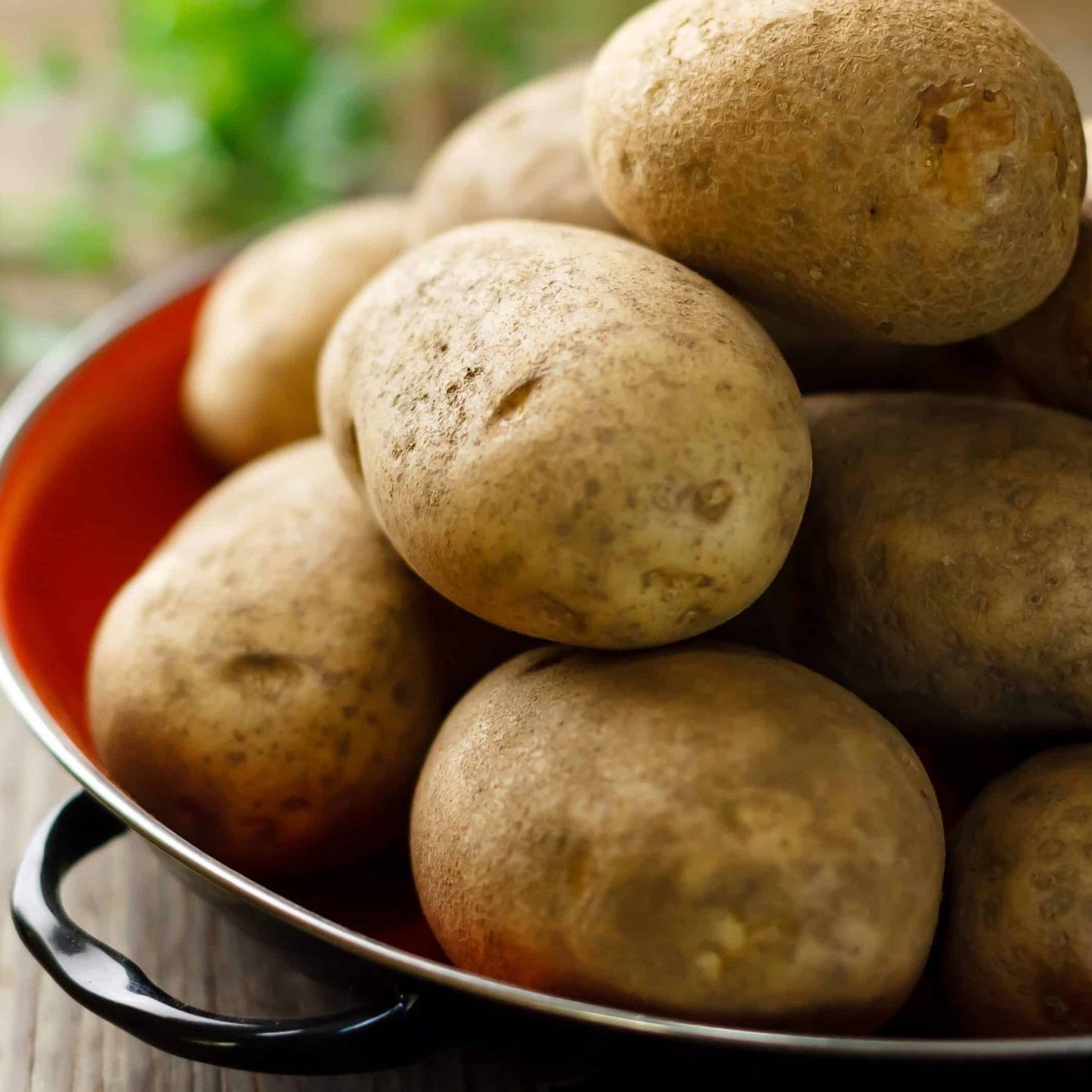 Russet Potato - 2lb