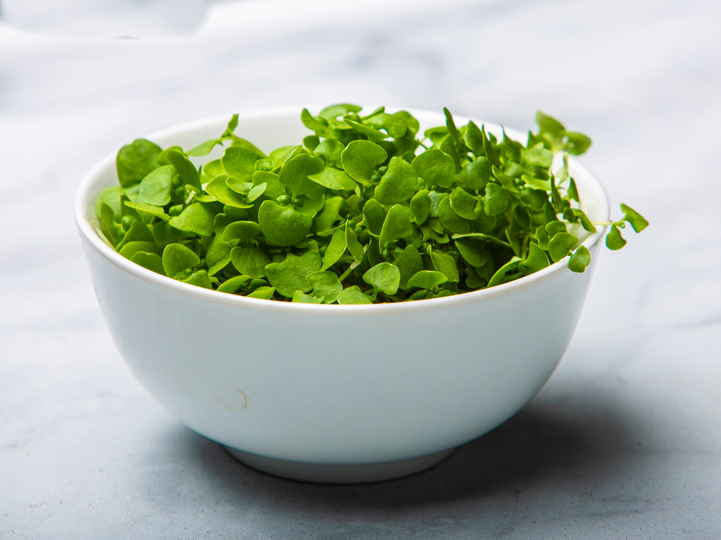 Fresh Microgreens