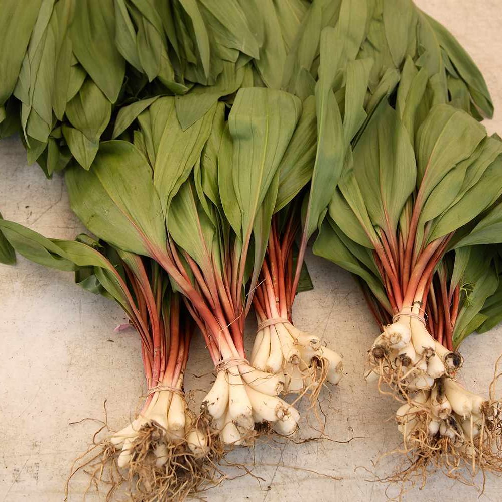 Ramps - Wild Leeks, Locally Harvested LIMIT 1