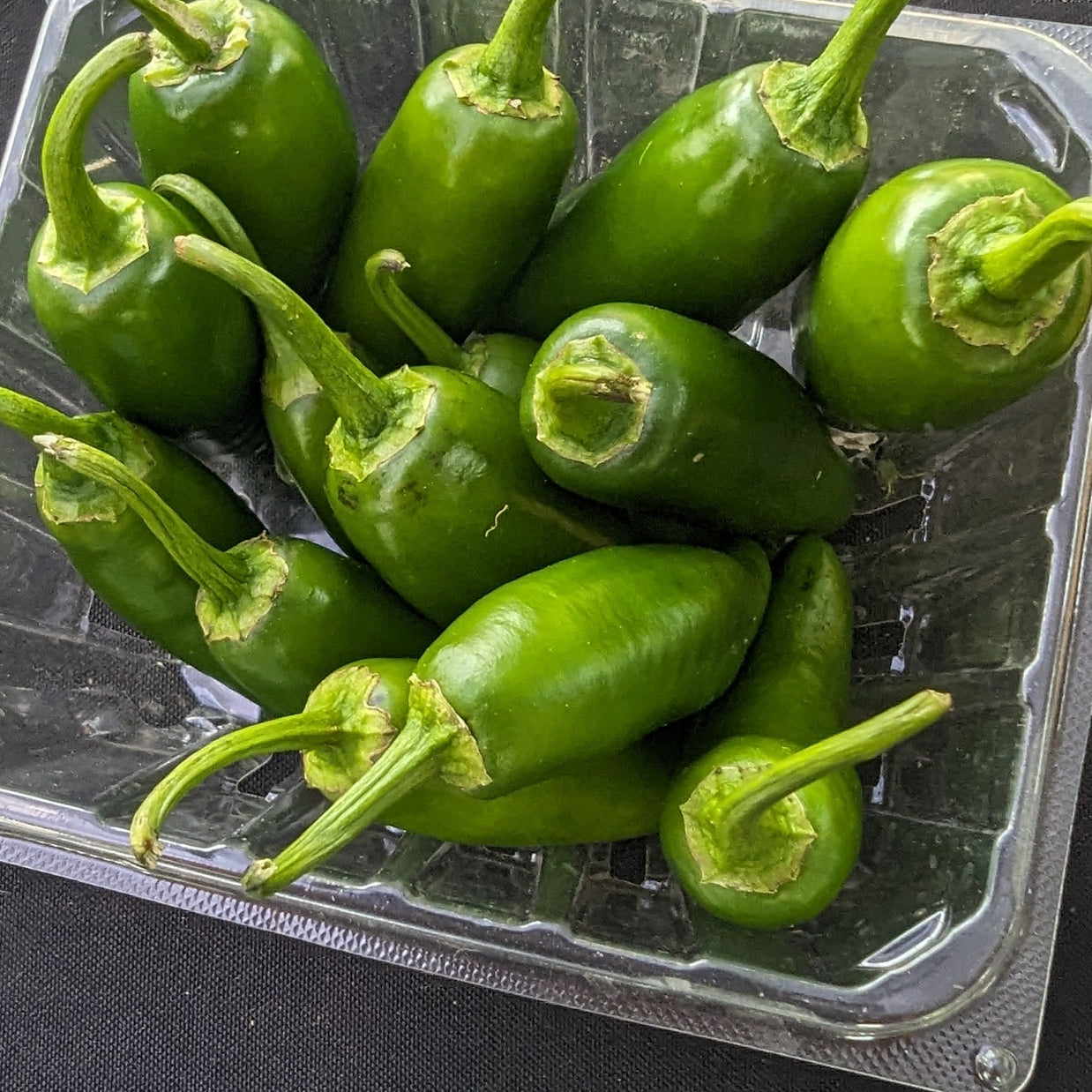 Jalapeno pint