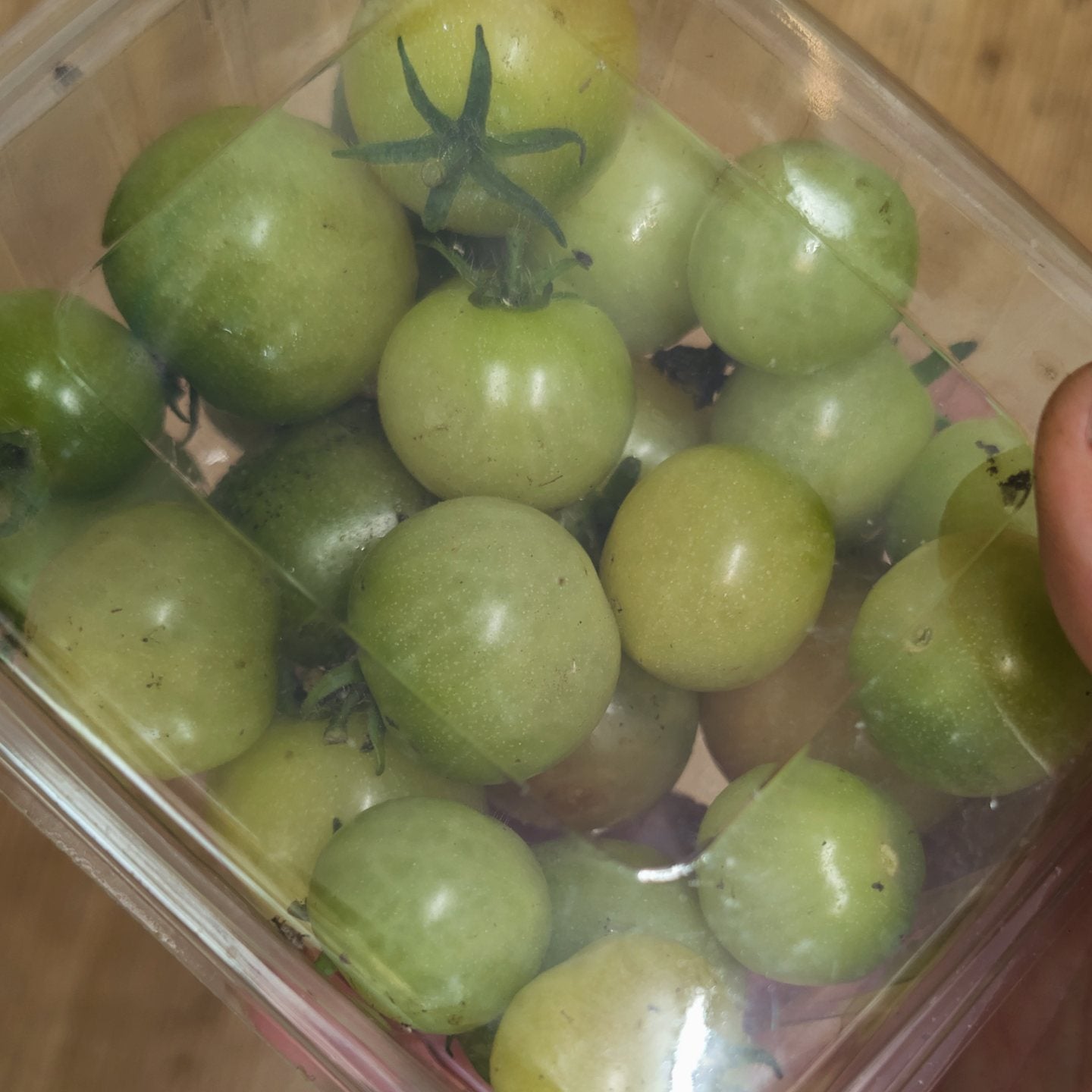 Green Tomatoes - Cherry