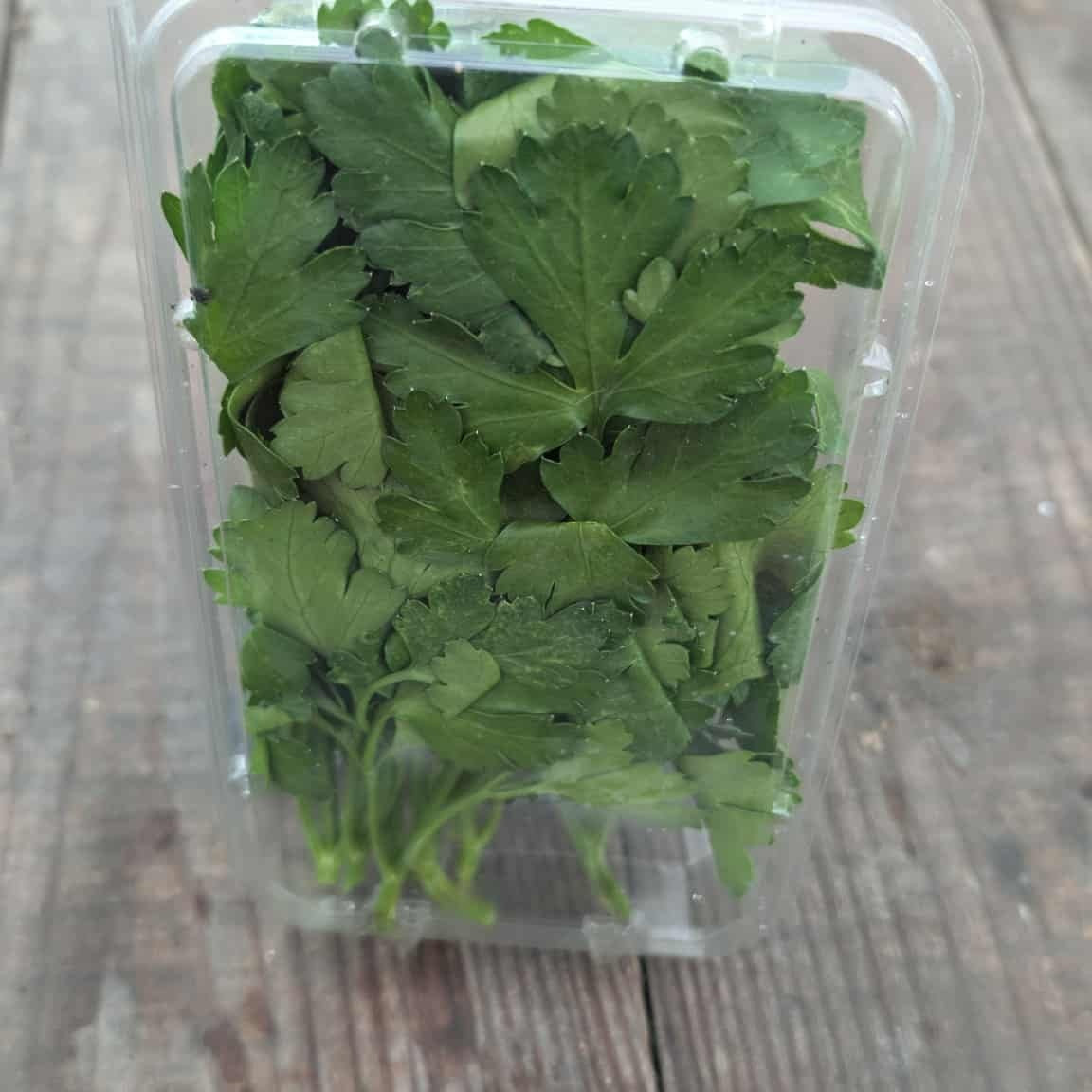 Italian Flat Leaf Parsley