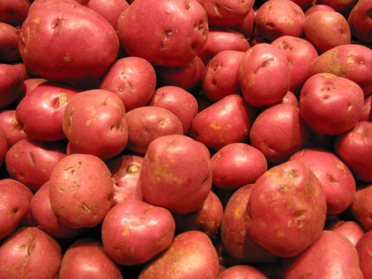Red Potatoes - 5lb. Bag