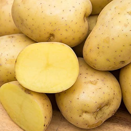 Red or Yellow Potatoes - 2lb. Bag