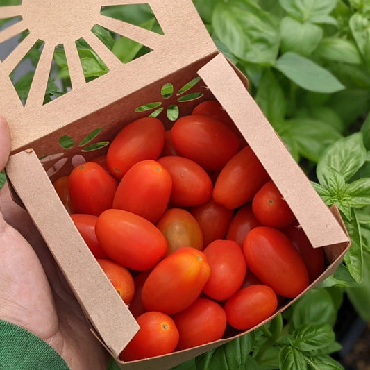 Grape Tomatos - 1 pint