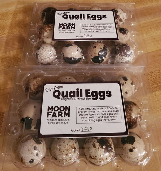 Quail Eggs