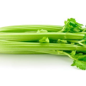 Celery - Tango style, Bunched Stalks