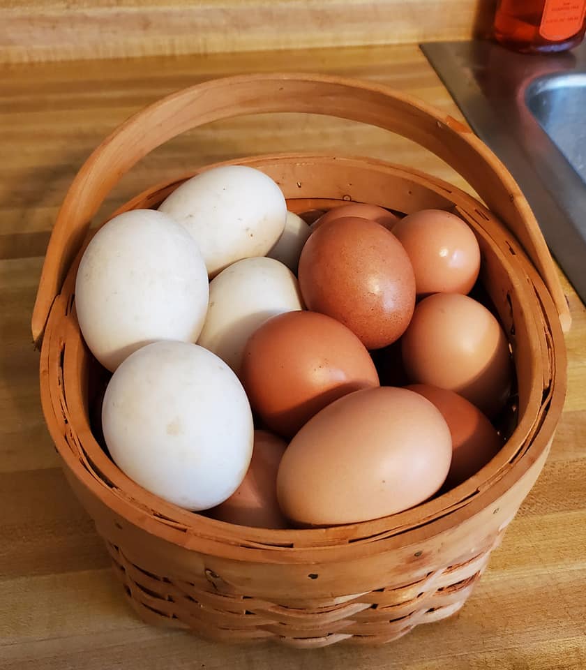 Chicken Eggs - 25 count