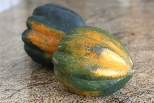 Acorn Squash