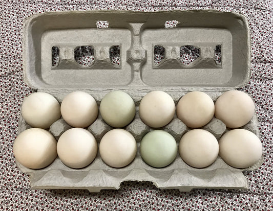 Duck Eggs - 25 ct
