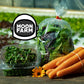 CSA Sample Delivery