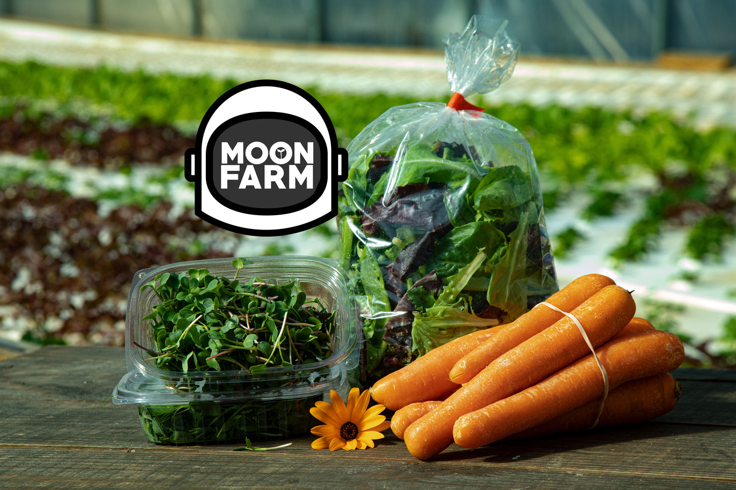 CSA Sample Delivery