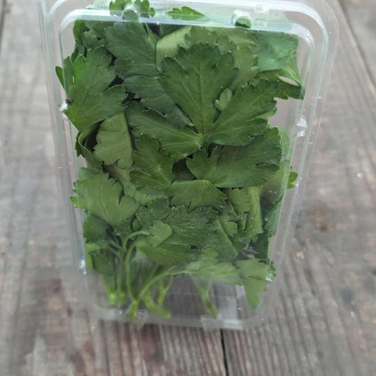 Italian Flat Leaf Parsley