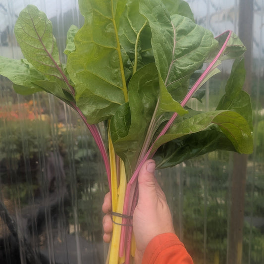 Bunched Greens
