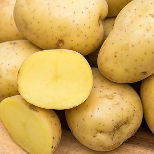 Yukon Yellow Potatoes - 5lb. Bag
