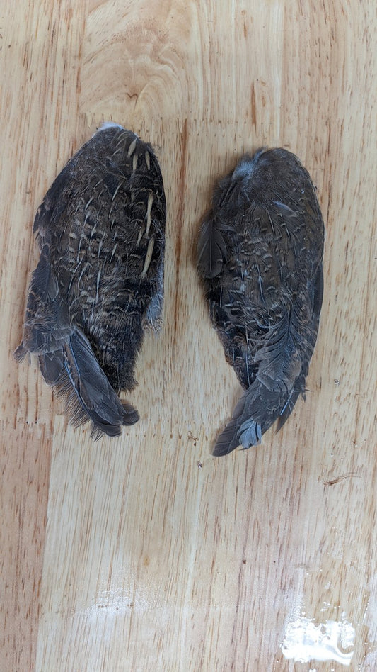 Raw Dried Quail Wings - 2 Pair